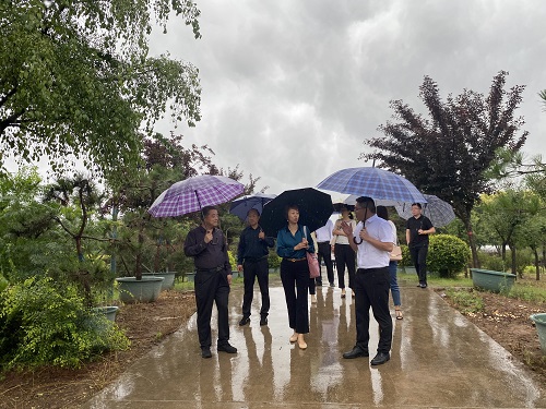 1658374775329752.jpg 1.jpg